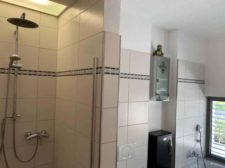 Panorama Apartment Kandern Kültér fotó